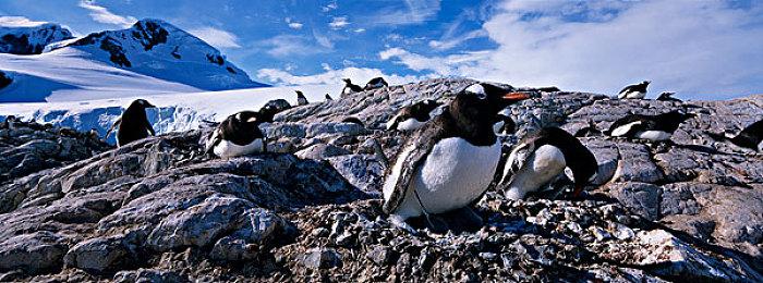 2D清版动作《永生：伴随着死亡》公布 首支演示公开