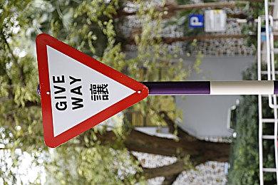 可爱模拟经营游戏《萌宠大赢家》5月24日登陆Steam